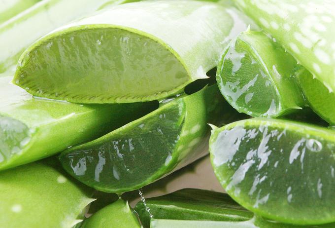 aloe vera | Foto: Thinkstock