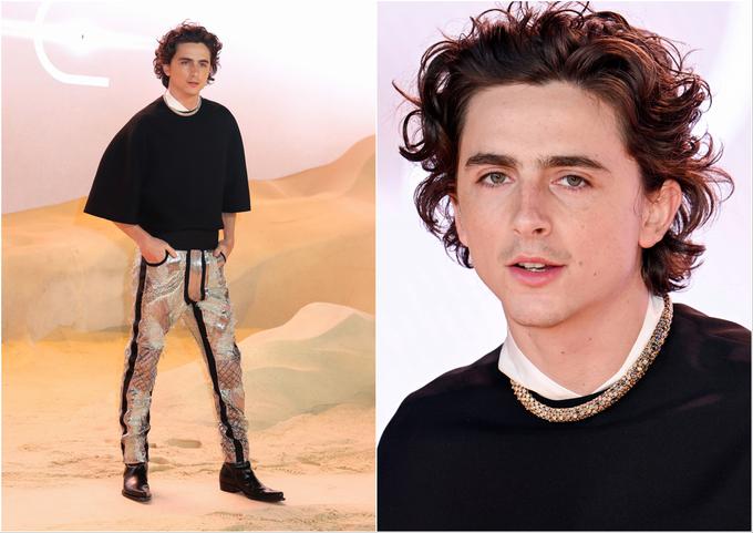 Timothée Chalamet | Foto: Guliverimage