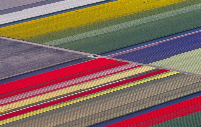 Zračni posnetek cvetličnih nasadov v parku Keukenhof v kraju Lisse na Nizozemskem. Park je znan tudi kot Vrt Evrope in velja za največji cvetlični nasad na svetu. Za več kot milijon cvetlic skrbi 30 vrtnarjev.  | Foto: Reuters