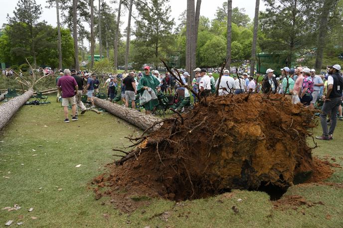 golf Augusta drevesa | Foto Guliver Image