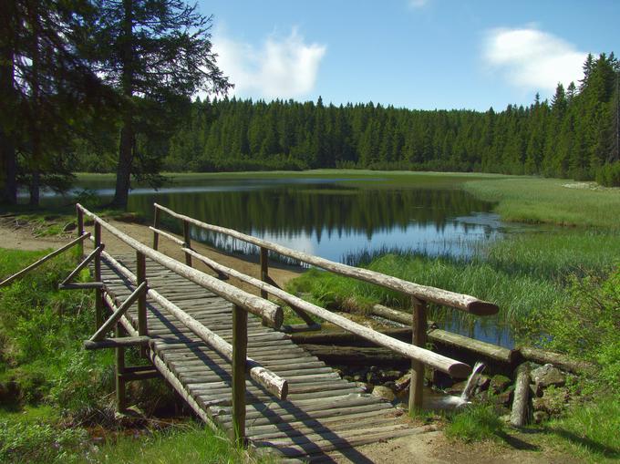 Črno jezero, Pohorje | Foto: Thomas Hilmes/Wikimedia Commons