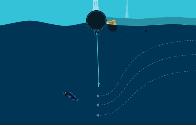 Pri The Ocean Cleanup zatrjujejo, da je sistem za zbiranje plastike zasnovan tako, da bo morski tok tekel pod njim, kar pomeni, da se bodo živali pregradi lažje izognile. Opozarjajo sicer, da obstaja možnost, da bi čistilna akcija vendarle lahko negativno vplivala na nekatere živali, a so prepričani, da gre za dolgoročno dobro rešitev za oceanski ekosistem.  |  Foto: The Ocean Cleanup | Foto: 