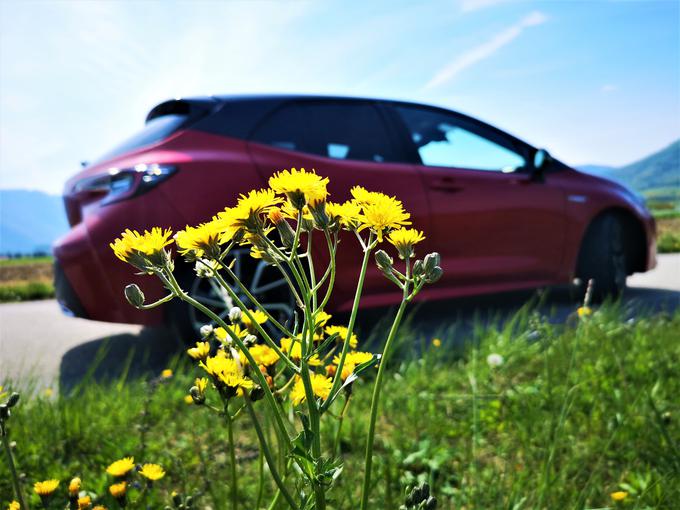 Toyota s hibridnimi pogoni žanje uspehe dolgoročnega dela in je danes dobro pripravljena na zaostrene pogoje izpustov CO2 pri Evropski uniji.  | Foto: Gregor Pavšič