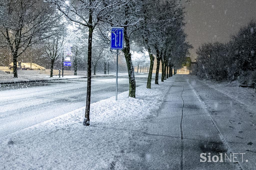 Sneg v Ljubljani