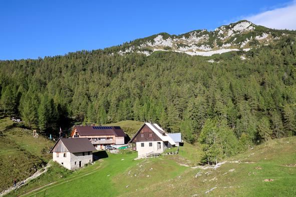 Slalom med jurčki in mušnicami na razgledno goro nad Pokljuko