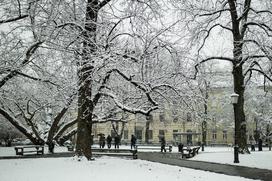 Sneženje v Ljubljani