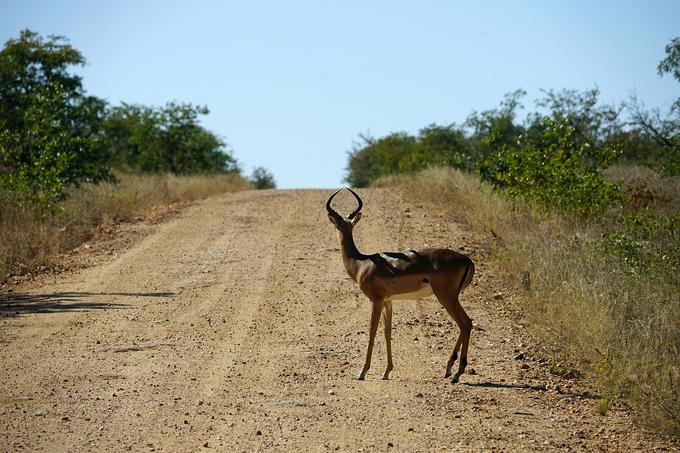 Tanzanija | Foto: Thinkstock