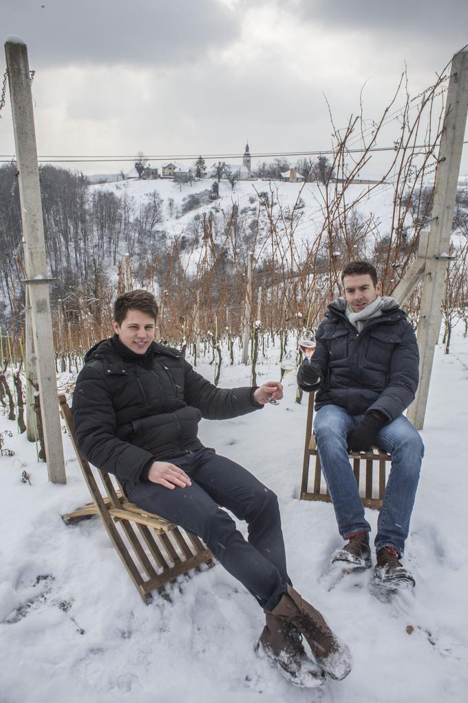 Ko smo ju obiskali, je sicer snežilo, a Andrej in Francois zagotavljata, da ima posestvo na Telčah enega najlepših razgledov daleč naokoli. Tudi zato gradijo nov degustacijski prostor in dva turistična apartmaja. | Foto: Matej Leskovšek