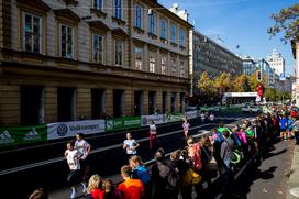 LJ maraton šolski teki