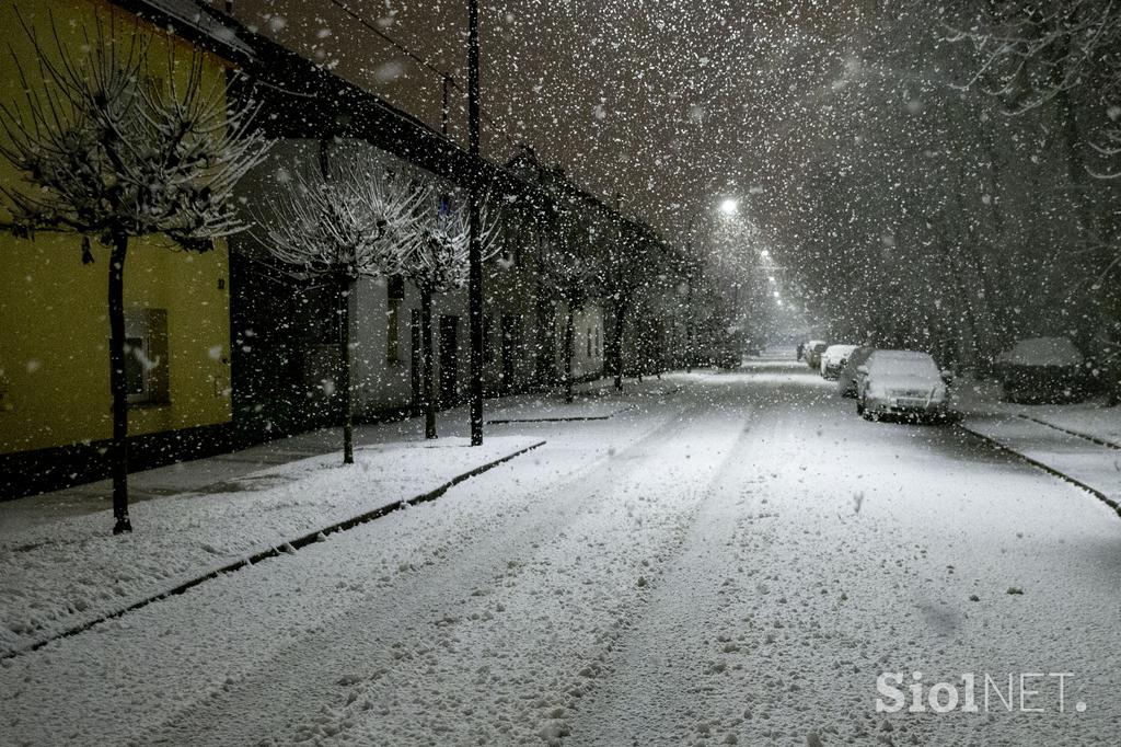 Sneg v Ljubljani