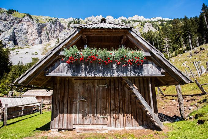 Na Dolgi njivi je možno prespite tudi na seniku. Tam običajno prenočujejo mlade družine, ki se ta takšno prenočevanje odločajo predvsem zaradi doživetja. "Že ob 4. uri jih začne buditi petelin, a jih to ne moti, uživajo," pravi Matjaž. | Foto: Peter Podobnik / Sportida