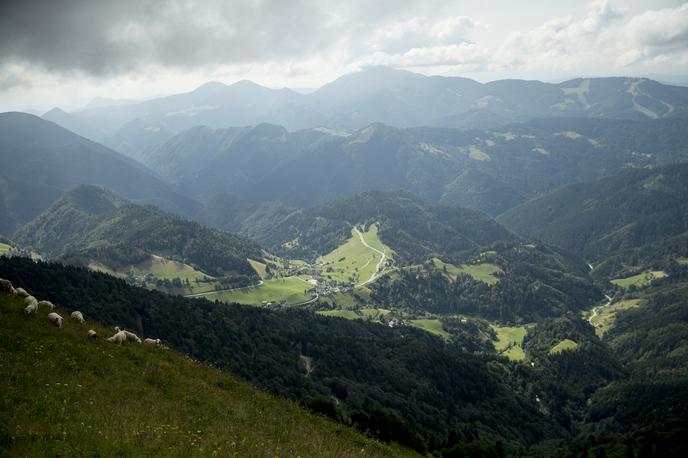 Soriška planina | Foto Ana Kovač