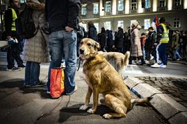 Protesti Beograd