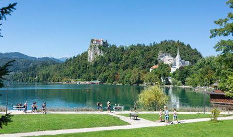 Bobnar Green Dayev navdušen nad Bledom #foto