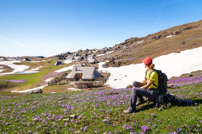 gore hribi velika planina | Foto: 