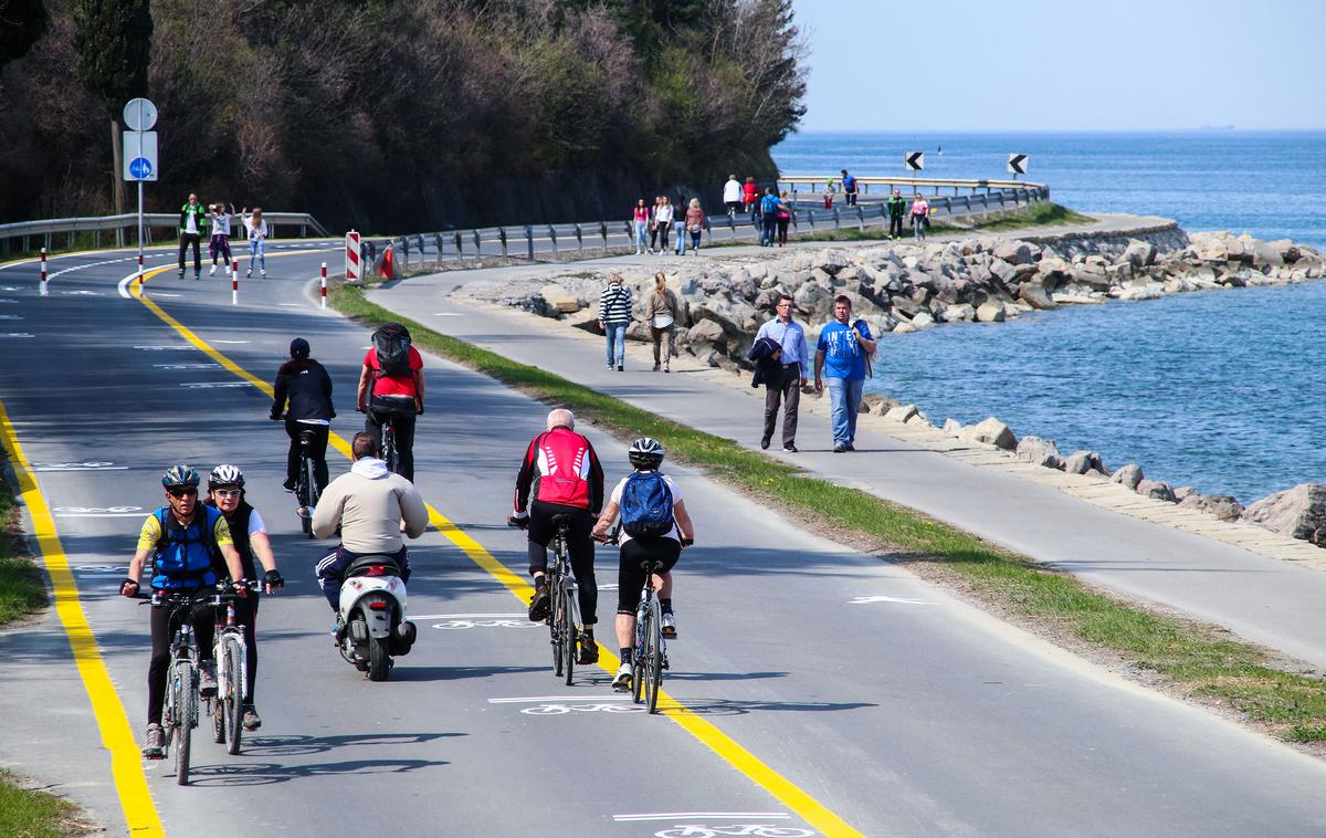 Obalna cesta Koper Izola | Foto Tomaž Primožič/FPA