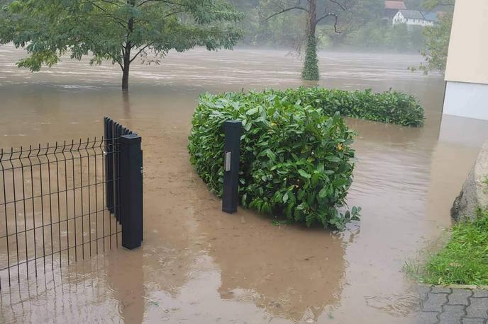 Poplavljena reka Kolpa | Tako je pred enim tednom poplavljala reka Kolpa. | Foto Bojan Puhek