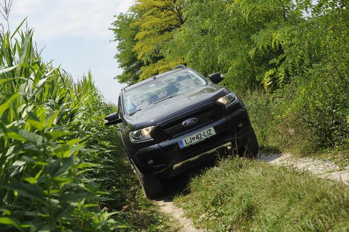 Testnega rangerja je poganjal najzmogljivejši 3,2-litrski dizelski štirivaljni motor z močjo 147 kilovatov (200 'konjev') in 470 njutonmetrov navora. | Foto: Gregor Pavšič