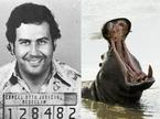 Pablo Escobar