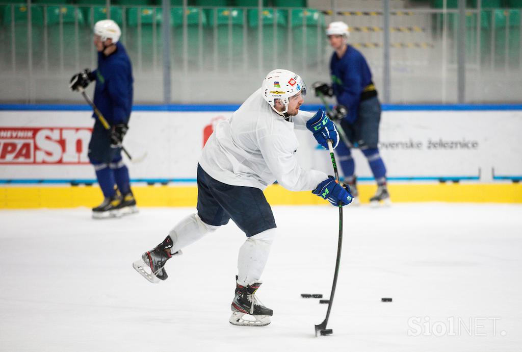 slovenska hokejska reprezentanca, priprave na turnir v Tivoliju