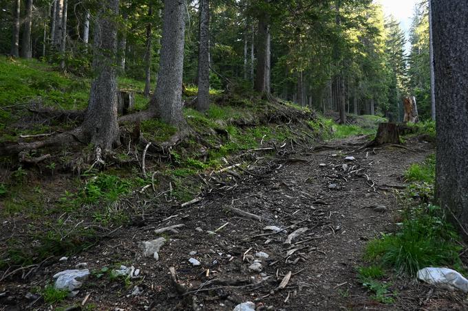 Takoj za kmetijo se pot postavi strmo navkreber, najprej gre še po vlakah, nato po ozki pešpoti. | Foto: Matej Podgoršek