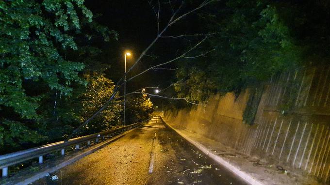 Jutri popoldne niso izključeni niti vetrolomi. Nalive bo namreč spremljal močan veter. Hitrost vetra lahko v sunkih doseže 80 kilometrov na uro. Fotografija je iz arhiva. | Foto: David Florjančič