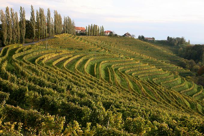 Jeruzalem in okoliške Ljutomersko-Ormoške gorice so spregledana, a zanimiva vinorodna pokrajina. | Foto: Marco Coppo