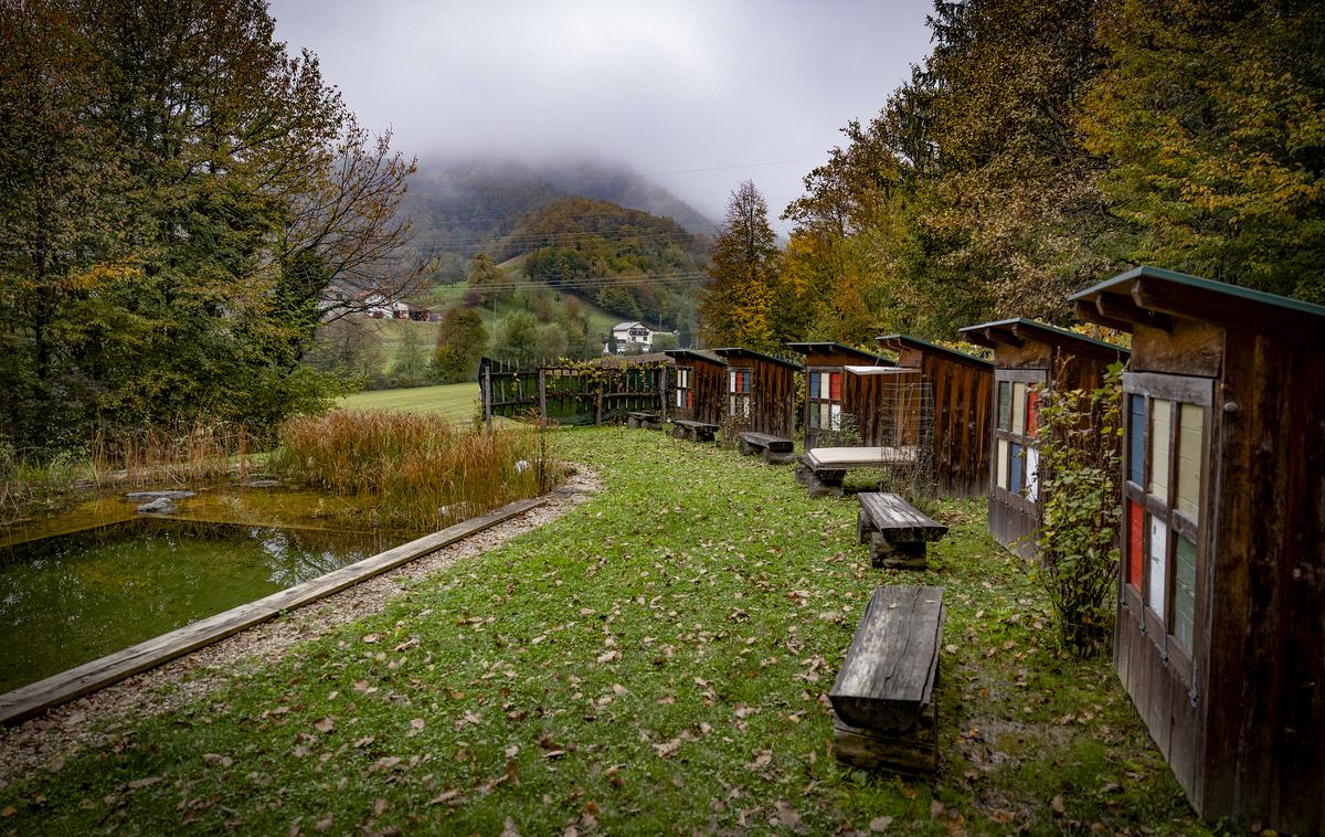 turistična kmetija pomona | Foto Ana Kovač