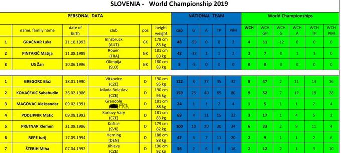 Vir: Hokejska zveza Slovenije | Foto: 