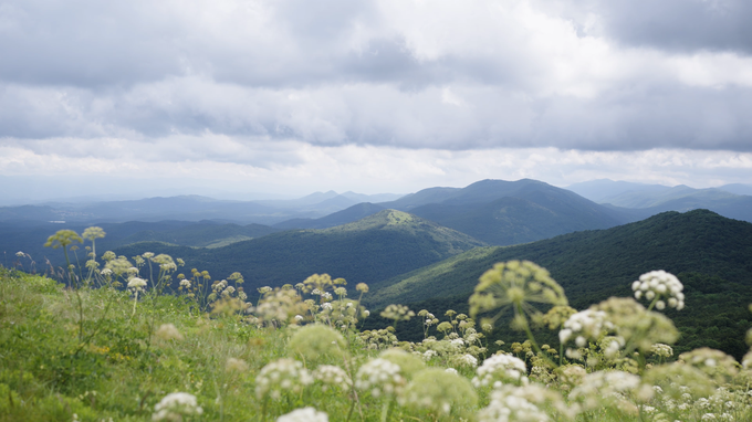 Slavnik, oskrbnik | Foto: Jan Lukanović