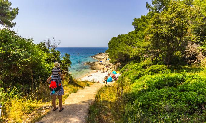 Istra, plaža | Foto: Shutterstock