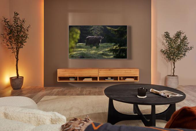 S95B OLED Lifestyle Feature Image 2 High Res (tiff) | Foto: 