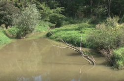 Namesto gozda je na njegovi zemlji nastalo jezero #video