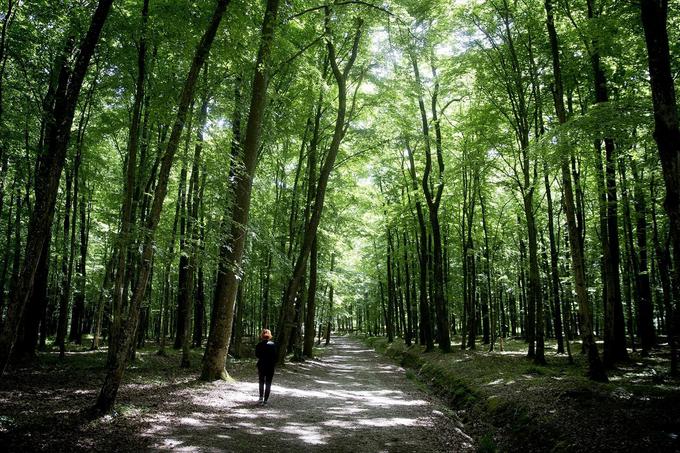 Prekmurje Bukovniško jezero | Foto: Ana Kovač