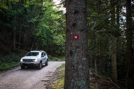 Dacia duster in oskrbnik gorske koče