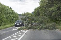 Deževno in vetrovno vreme povzroča nevšečnosti: plazovi in podrta drevesa