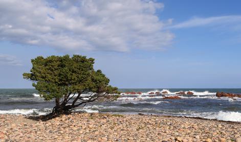 Na Sardiniji zaradi spominkov s plaže ovadili turiste