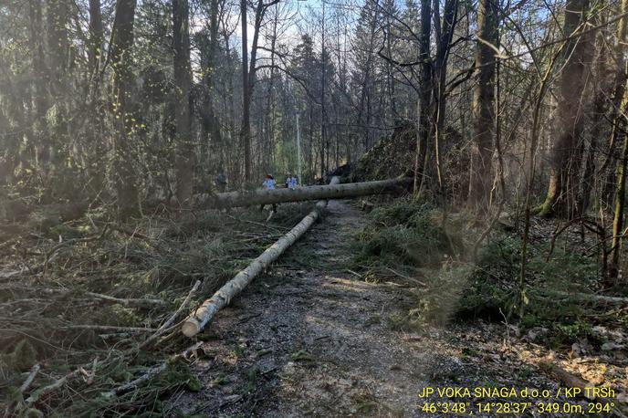 Rožnik | Na sprehodu po Rožniku vam pot prekrižajo številna podrta drevesa.  | Foto JP Voka Snaga