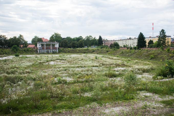 Centralni štadion | Foto: Bor Slana