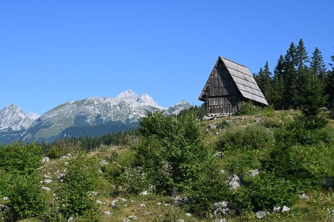 Prvi pogled, ko stopimo iz gozda na planino Zajamniki. V ozadju sta Tosc in Triglav. | Foto: Matej Podgoršek