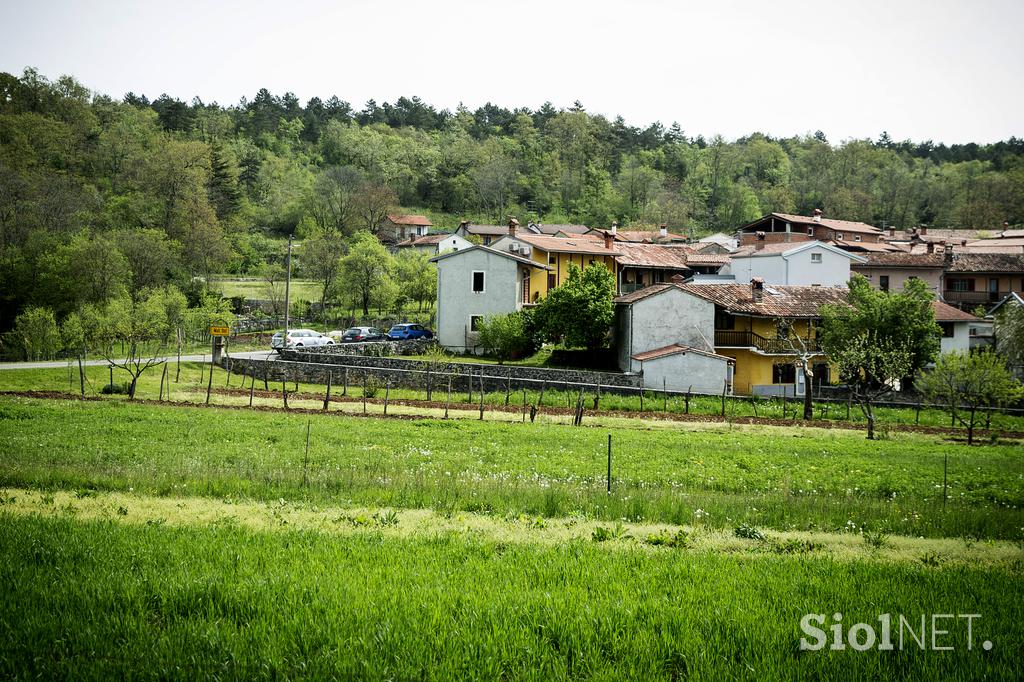 Ekološka kmetija Brinjevka Kras socialna kmetija