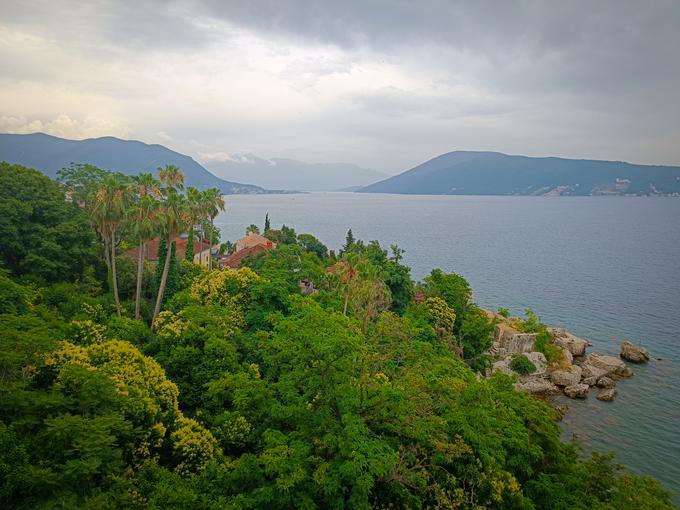 Mesto je znano tudi po mimozah, rastlini z močnimi rumenimi cvetovi z izrazitim vonjem.  | Foto: Ksenija Mlinar