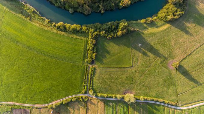 Ljubljansko barje. Na ZRSVN pojasnjujejo, da so najbolj ogrožene tiste vrste živali, ki so vezane na specializirana okolja, kot so na primer mokrišča in travniki. "Torej ne gre za živalsko ali rastlinsko skupino, ampak vrste, vezane na točno določena okolja". | Foto: Getty Images