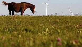 Trg z vetrno energijo se naglo širi