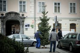 Božična drevesa jelke smreke ljubljanska tržnica