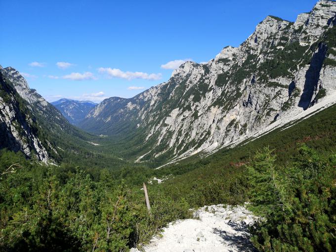 Krma je bila dostopna samo mesec in pol. | Foto: Matej Podgoršek