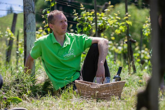 Ekološka kmetija Valentan Vodole Malečnik vino vinograd | Foto: Peter Susič