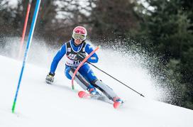 Sljeme 2018