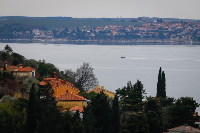 "V političnih argumentih majhne države članice seveda vedno izgubijo. A še ta zadnji argument, ki ga imajo pri pravnih temeljih, je zdaj spodkopan. To je slabo, po mojem mnenju bo evroskepticizem v državah članicah samo še spodbudilo," meni Barbutovski. | Foto: STA ,