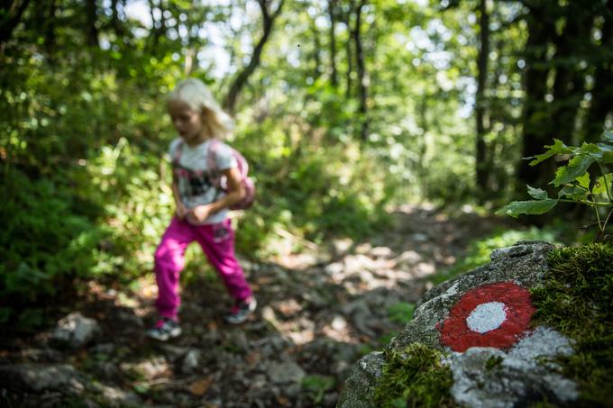 Na PZS razmišljajo o tem, da bi bolj promovirali Slovensko planinsko pot. Ne samo v gorniškem, ampak širšem pohodniškem smislu. | Foto: Vid Ponikvar